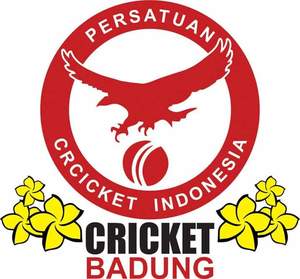 Logo Circket Badung